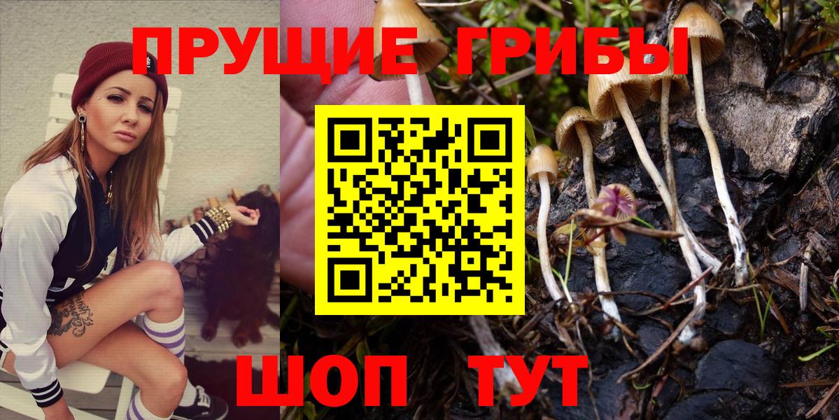 Губкинский  Галлюциногенные грибы мицелий  Вход с VPN 