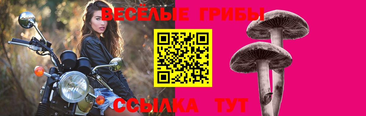 Псилоцибиновые грибы мухоморы Губкинский