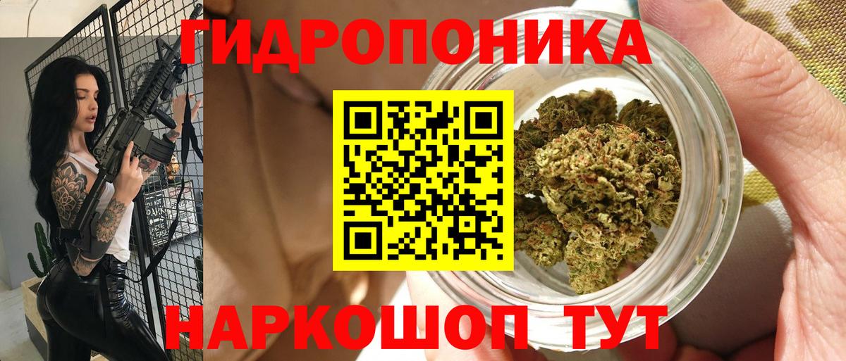 Шишки марихуана конопля Губкинский